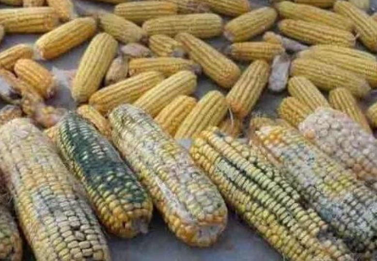 1744353347625818.png 微信截图_20250411135505.png